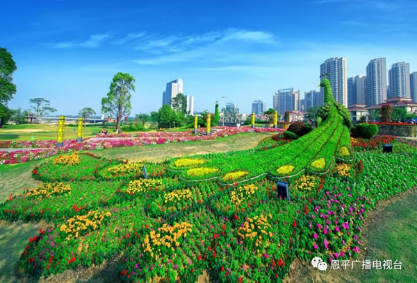微信图片_20191115142506.jpg