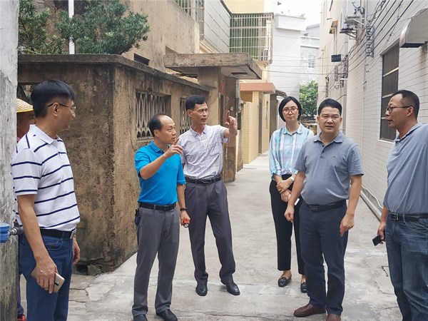 1.江门市专家组开展现场检查_副本.jpg