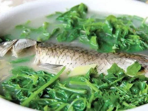 11.簕菜鲫鱼汤.jpg