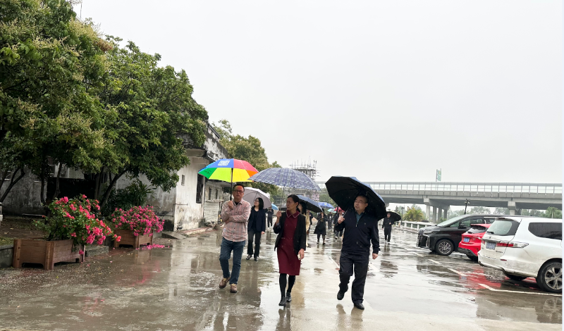 考察台山市水步镇草坪村.png