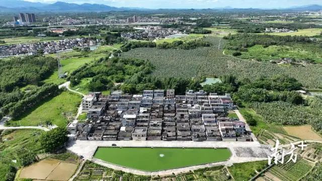 根竹头村。