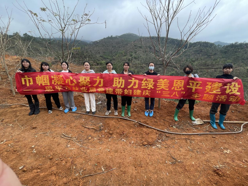 图片8.png