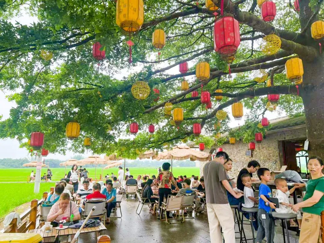 超28万人次！“五一”假期，恩平旅游市场旺旺旺！