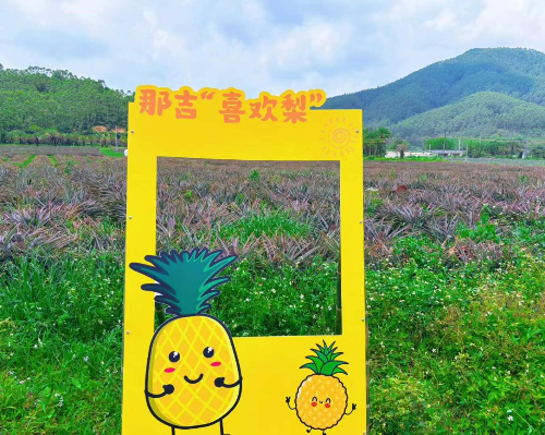 图片4.png